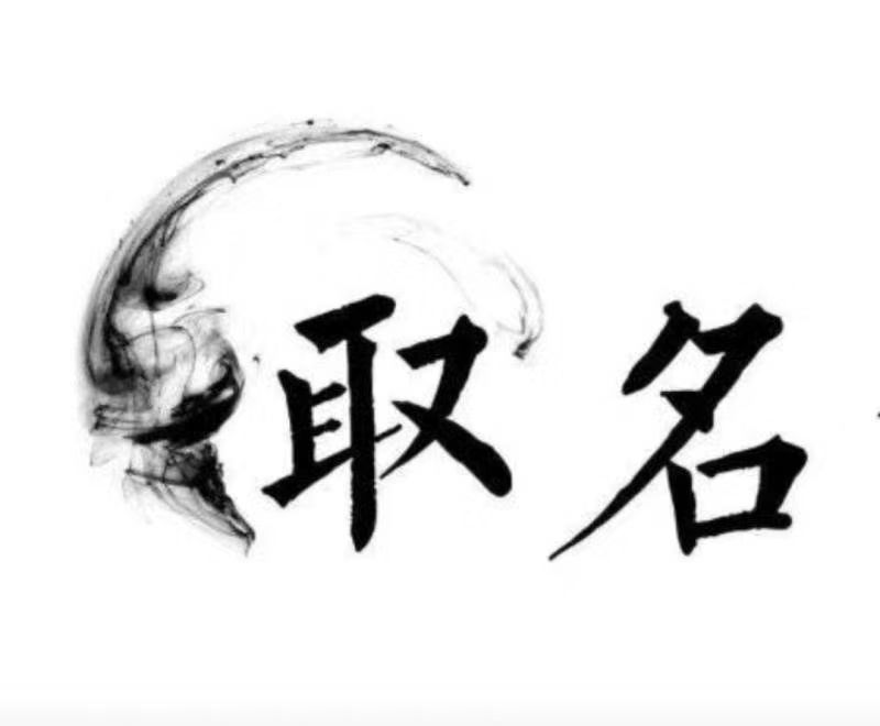  和政宝宝取名 大师一对一人工起名